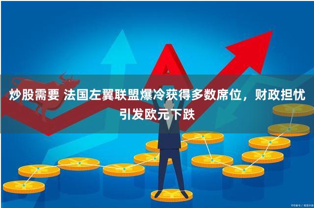 炒股需要 法国左翼联盟爆冷获得多数席位，财政担忧引发欧元下跌