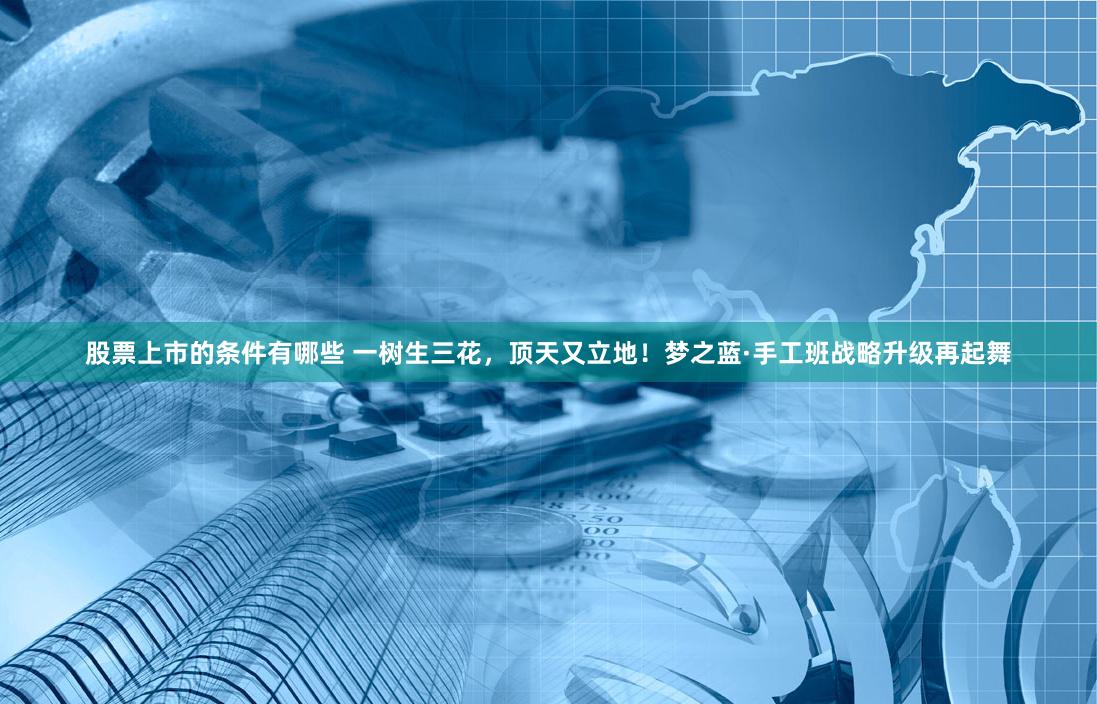 股票上市的条件有哪些 一树生三花，顶天又立地！梦之蓝·手工班战略升级再起舞