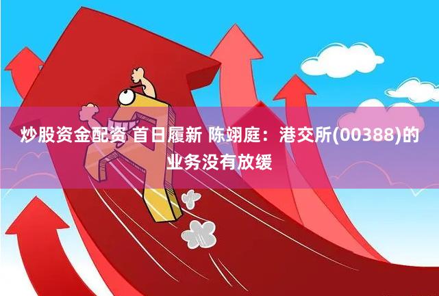 炒股资金配资 首日履新 陈翊庭：港交所(00388)的业务没有放缓