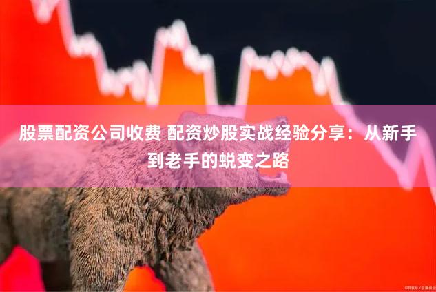 股票配资公司收费 配资炒股实战经验分享：从新手到老手的蜕变之路