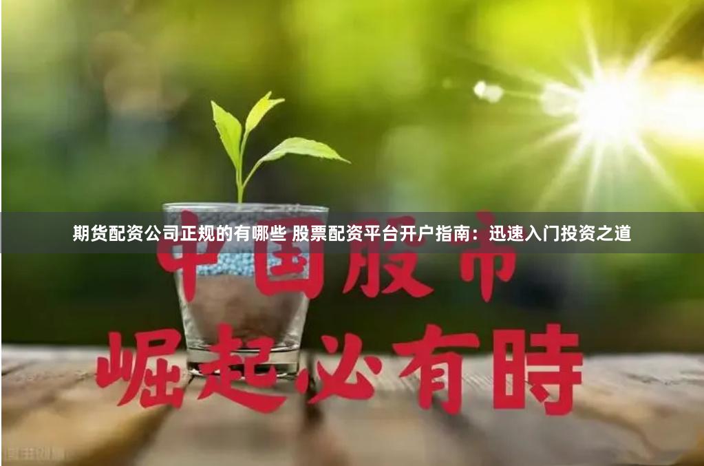 期货配资公司正规的有哪些 股票配资平台开户指南：迅速入门投资之道